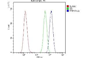 Flow Cytometry analysis of U20S cells using anti-CPI17 alpha antibody (ABIN5518865).