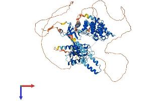 AlphaFold protein structure predicition of Human Recombinant AGAP3 Protein, UniprotID Q96P47