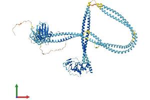 AlphaFold protein structure predicition of Human Recombinant SMC6 Protein, UniprotID Q96SB8