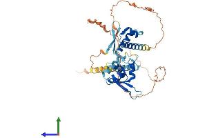 AlphaFold protein structure predicition of Human Recombinant MAGEC2 Protein, UniprotID Q9UBF1
