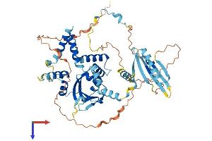 AlphaFold protein structure predicition of Mouse Recombinant Supt20h Protein, UniprotID Q7TT00