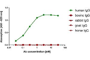 Different species IgG were coated on an ELISA plate at 100 ng. (Recombinant Souris anti-Humain IgG (Fc Region) Anticorps)