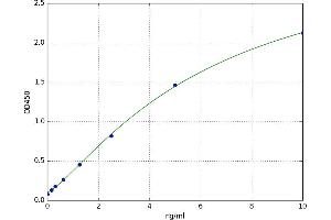 Sestrin 3 (SESN3) ELISA Kit