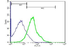 Mouse hepatocytes probed with Rabbit Anti-Talin Polyclonal Antibody,FITC Conjugated (ABIN701702) at 1:100 for 40 minutes (green)compared to control cells (blue).