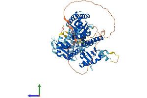 AlphaFold protein structure predicition of Human Recombinant HPS1 Protein, UniprotID Q92902