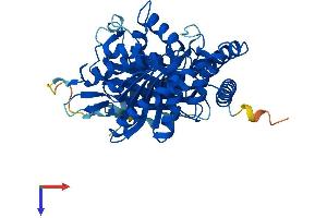 AlphaFold protein structure predicition of Human Recombinant TUBA4A Protein, UniprotID P68366