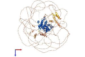 AlphaFold protein structure predicition of Mouse Recombinant Ccnb3 Protein, UniprotID Q810T2