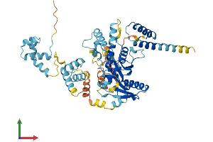 AlphaFold protein structure predicition of Human Recombinant TIGD6 Protein, UniprotID Q17RP2