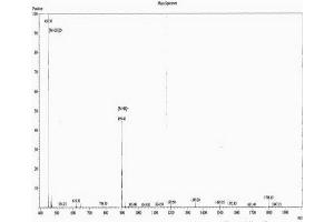 Angiotensin 1-7 (AA 34-40) peptide (Ovalbumin)
