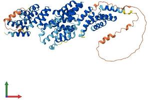 AlphaFold protein structure predicition of Human Recombinant CDC16 Protein, UniprotID Q13042