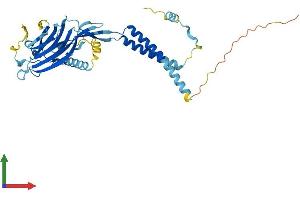 AlphaFold protein structure predicition of Human Recombinant ERGIC2 Protein, UniprotID Q96RQ1