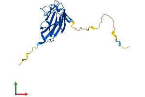 AlphaFold protein structure predicition of Mouse Recombinant Tifa Protein, UniprotID Q793I8