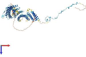 AlphaFold protein structure predicition of Mouse Recombinant Srp68 Protein, UniprotID Q8BMA6