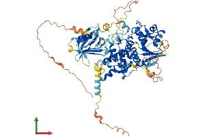 AlphaFold protein structure predicition of Mouse Recombinant Mtmr11 Protein, UniprotID Q3V1L6