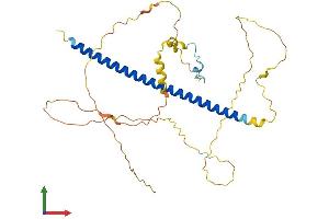 AlphaFold protein structure predicition of Human Recombinant ATF4 Protein, UniprotID P18848