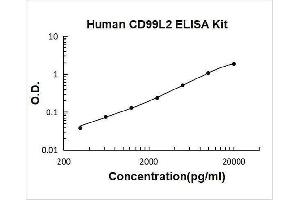 CD99 Molecule-Like 2 (CD99L2) ELISA Kit
