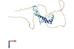 AlphaFold protein structure predicition of Mouse Recombinant Spry1 Protein, UniprotID Q9QXV9