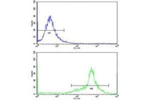 Flow cytometric analysis of WiDr cells using IGFBP6 antibody (green) compared to a negative control (blue).
