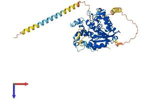 AlphaFold protein structure predicition of Human Recombinant CHST3 Protein, UniprotID Q7LGC8