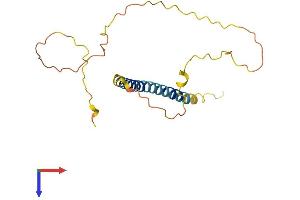 AlphaFold protein structure predicition of Mouse Recombinant Bmf Protein, UniprotID Q91ZE9