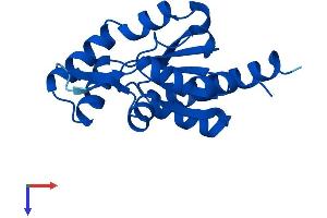 AlphaFold protein structure predicition of Mouse Recombinant Ak6 Protein, UniprotID Q8VCP8