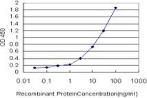 Detection limit for recombinant GST tagged CCNK is approximately 0.