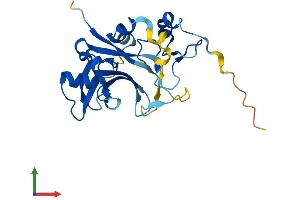 AlphaFold protein structure predicition of Human Recombinant ZMYND19 Protein, UniprotID Q96E35