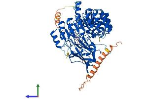AlphaFold protein structure predicition of Human Recombinant FBXL4 Protein, UniprotID Q9UKA2