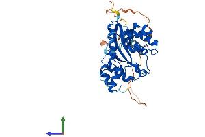 AlphaFold protein structure predicition of Mouse Recombinant Nmnat2 Protein, UniprotID Q8BNJ3