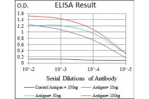 Red: Control Antigen (100ng) ; Purple: Antigen (10ng) ; Green: Antigen (50ng) ; Blue: Antigen (100ng). (ENO2/NSE anticorps  (AA 251-433))