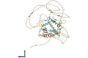AlphaFold protein structure predicition of Human Recombinant ZNF131 Protein, UniprotID P52739