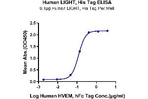Immobilized Human LIGHT, His Tag at 1 μg/mL (100 μL/Well) on the plate.