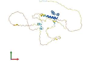 AlphaFold protein structure predicition of Mouse Recombinant Dbx1 Protein, UniprotID P52950