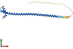 AlphaFold protein structure predicition of Human Recombinant DYDC1 Protein, UniprotID Q8WWB3