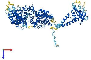 AlphaFold protein structure predicition of Human Recombinant ELMO1 Protein, UniprotID Q92556