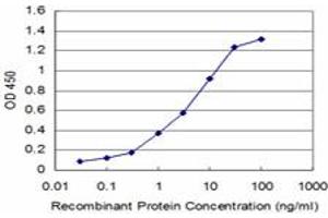 Detection limit for recombinant GST tagged NEUROG3 is approximately 0. (Neurogenin 3 anticorps  (AA 1-101))