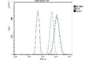 Flow Cytometry analysis of CACO-2 cells using anti-Glycine decarboxylase/GLDC antibody (ABIN7602073). (GLDC anticorps  (AA 574-1020))
