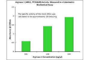Bioactivity measured with Activity Assay