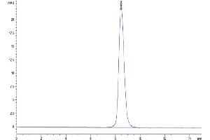 The purity of Mouse CD200 R1 is greater than 95 % as determined by SEC-HPLC. (CD200R1 Protein (AA 26-238) (His tag))