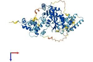 AlphaFold protein structure predicition of Human Recombinant JRKL Protein, UniprotID Q9Y4A0