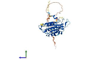 AlphaFold protein structure predicition of Human Recombinant BABAM1 Protein, UniprotID Q9NWV8