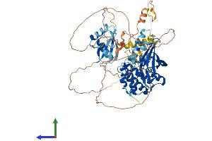AlphaFold protein structure predicition of Mouse Recombinant Map3k3 Protein, UniprotID Q61084
