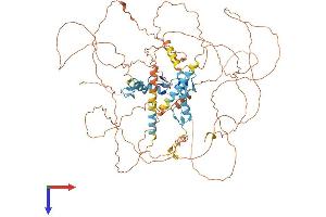 AlphaFold protein structure predicition of Human Recombinant ZNF148 Protein, UniprotID Q9UQR1