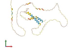 AlphaFold protein structure predicition of Human Recombinant MDFIC Protein, UniprotID Q9P1T7