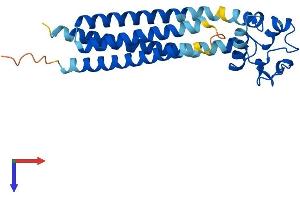 AlphaFold protein structure predicition of Mouse Recombinant Cd151 Protein, UniprotID O35566