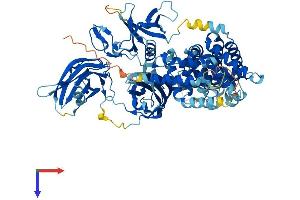 AlphaFold protein structure predicition of Mouse Recombinant Rasa4 Protein, UniprotID Q6PFQ7