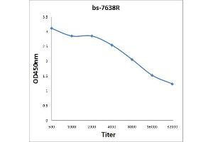 Antigen: 2 µg/100 µL  Primary: Antiserum, 1:500, 1:1000, 1:2000, 1:4000, 1:8000, 1:16000, 1:32000;  Secondary: HRP conjugated Rabbit Anti-Goat IgG at 1: 5000;  TMB staining Read the data in Microplate Reader by 450nm.