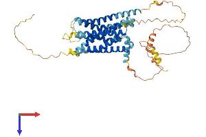 G Protein-Coupled Receptor 61 (GPR61) (AA 1-451) protein (His tag)