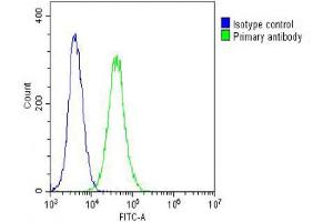 Overlay histogram showing NIH/3T3 cells stained with (ABIN6242247 and ABIN6578666) (green line).