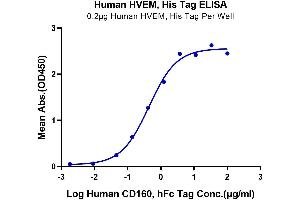 ELISA image for Tumor Necrosis Factor Receptor Superfamily, Member 14 (TNFRSF14) (AA 39-202) protein (His tag) (ABIN7274831)
